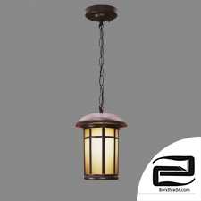 Street hanging lamp Elektrostandard GL 1016H Lepus H