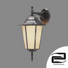 Street wall lamp Elektrostandard GL 1004D