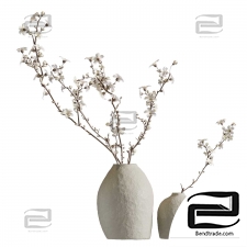 Bouquets of blooming branches