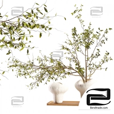 Plum branch bouquets