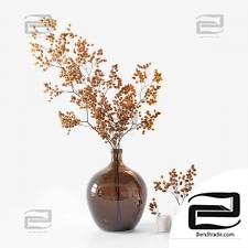 Bouquets of dried flower branch