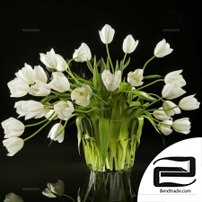 Bouquets of Tulips