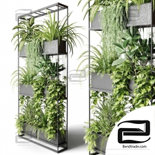Indoor plants 340