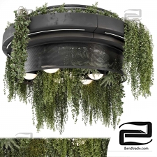Indoor plants 349