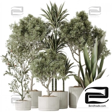Indoor plants set 99