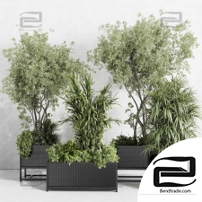 Indoor plants set 38