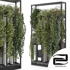 Indoor plants 647