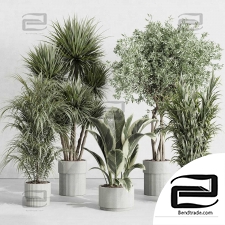 Indoor plants set 52