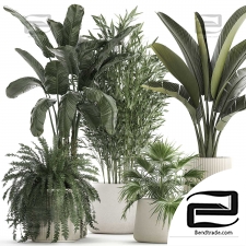 Indoor plants set 5