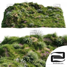 Grass on the slope
