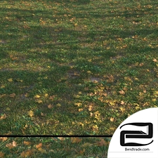Grass with leaves