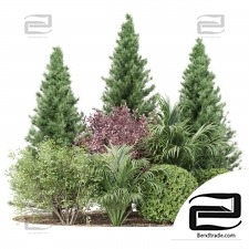 Set of plants 17