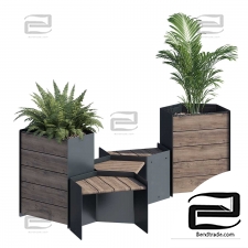 Outdoor plants 327