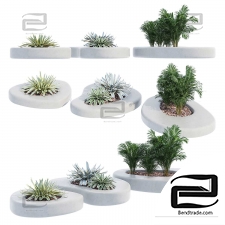 Set of plants 7