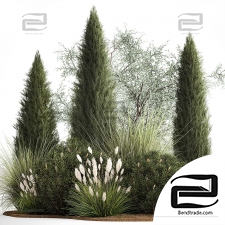 Set of plants 05