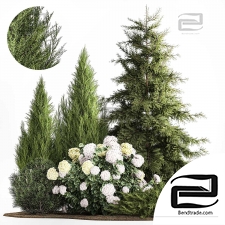 A set of plants