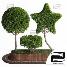 Topiary trees