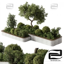 Outdoor plants 302