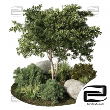 Outdoor plants 295