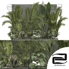 Outdoor plants 501