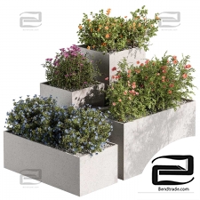 Outdoor plants 589