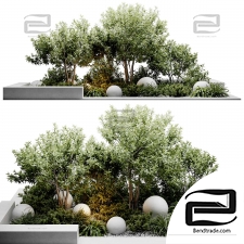 Outdoor plants 299