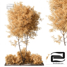 Vertical Garden 93 Phytostains