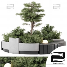 Outdoor plants 381