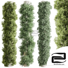 Vertical Garden Phytostains 46