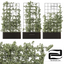 Vertical Garden 101 Phytostains
