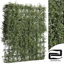 Vertical Garden 98 Phytostains