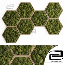 Green Wall Panel Plant Walls