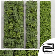 Moss garden plant walls