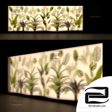 Phyto showcase