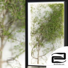 Phytostains 65