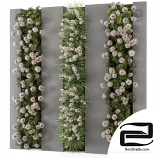 Vertical Garden Phytostains 37