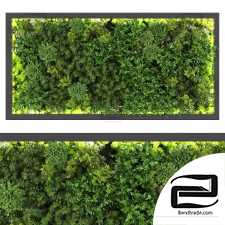 Vertical Phytostaines 02