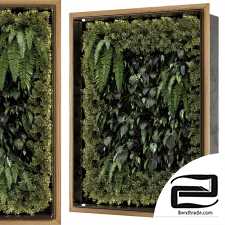Phytostain Vertical garden on the wall
