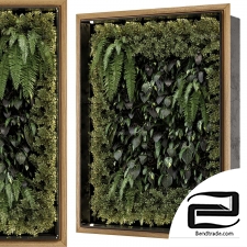 Phytostain Vertical garden on the wall