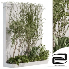 Phytostaines Wall Decor