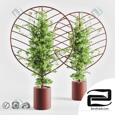 Helen Kontouris – Botanical Planter Screens