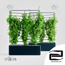 Helen Kontouris – Botanical Planter 3D Model id 4560