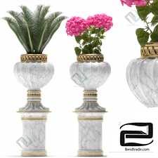 PLANTS PLANTS 351