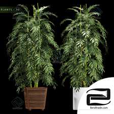 PLANTS PLANTS 329