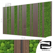 Decorative wall 205