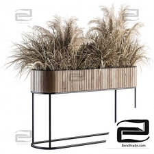 indoor Plant Set 122- Dried Plants in Wood Stand