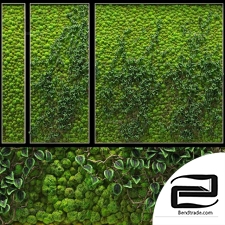 Fitowall