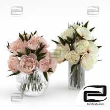 Bouquets of peonies