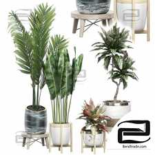 INTERIOR FLOWER PACK 42