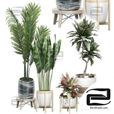 INTERIOR FLOWER PACK 42
